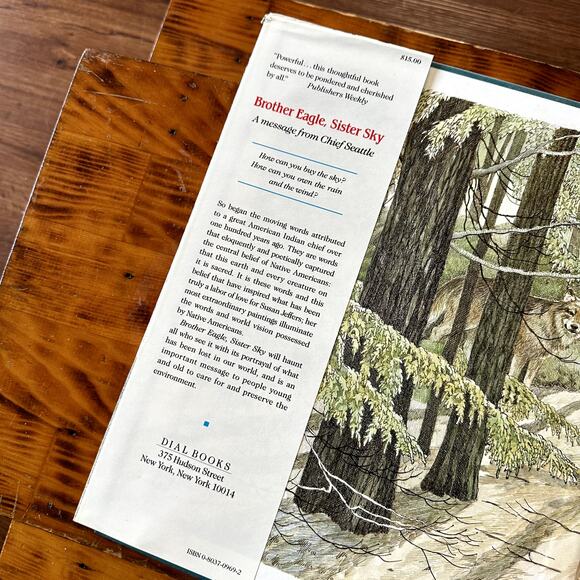 Vintage 1991 Brother Eagle, Sister Sky A Message From Chief Seattle Book - Picture 2 of 10